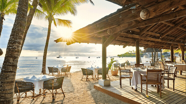 The Ravenala Attitude